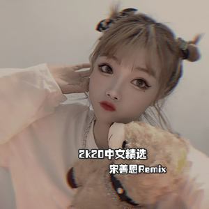半壶纱 (DJ宋善恩版)封面
