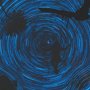 Too Much Fun (Explicit)