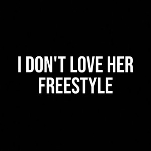 I Don't Love Her Freestyle (Explicit)