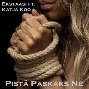 Pistä paskaks ne (feat. Katja Koo)