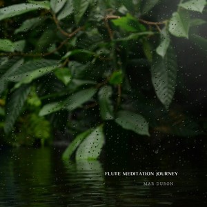 Flute Meditation Journey