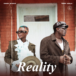 Reality (feat. Terry Apala)