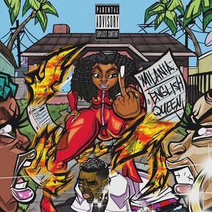 MINK COAT MUSIC (Explicit)