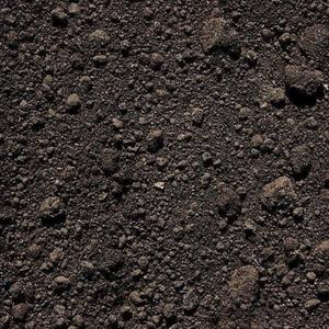 Out the Dirt (Explicit)