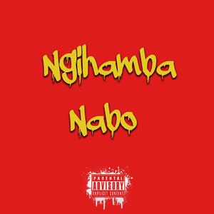 Ngihamba Nabo (feat. Sasa.Msk, Elshmoke & Water boi)