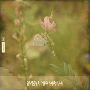 Sometimes Gentle