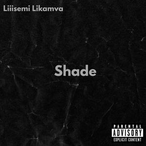 Shade (feat. Vinyl) (Explicit)