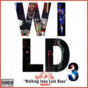 Walking Inna Last Days 3 (Explicit)