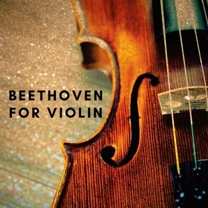 Concerto for Violin and Orchestra, in D Major, Op. 61 - I. Larghetto