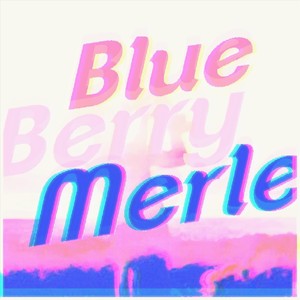 Blue Berry Merle (Explicit)