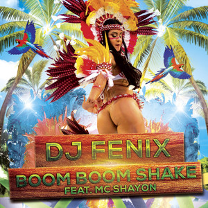 Boom Boom Shake (Dub Mix)