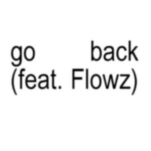 go back (feat. Flowz)