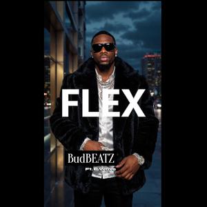 FLEX (feat. E Wave) (Explicit)