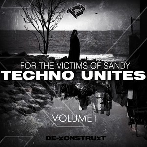 Techno Unites 'Victims of Sandy' Volume I