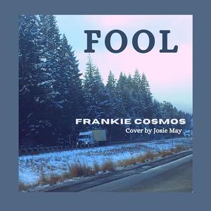 Fool