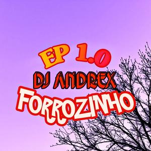 FORROZINHO EP 1.0