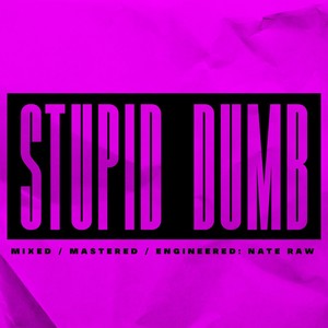 Stupid Dumb (Explicit)
