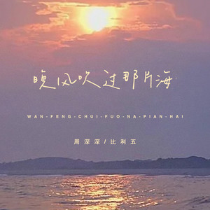 晚风吹过那片海