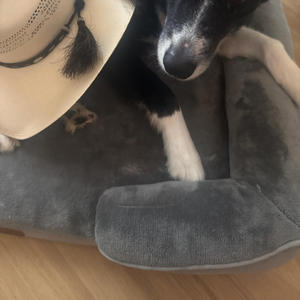 Factory Hat Band