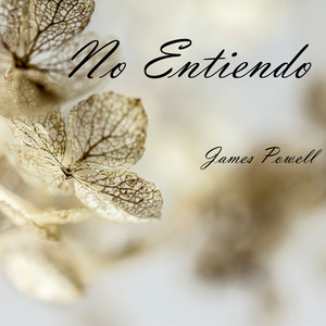 No Entiendo