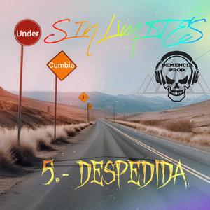 DESPEDIDA (feat. PHOENIIXX)