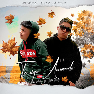 Te Sigo Amando (Version Urbano)