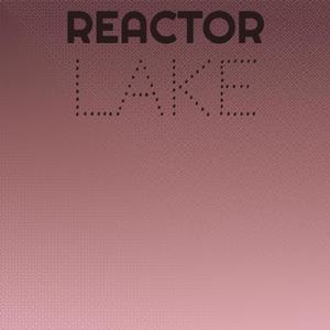 Reactor Lake