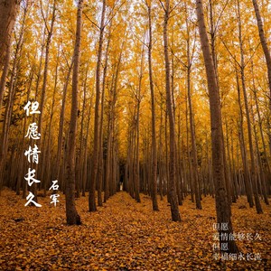 但愿情长久