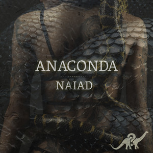 Anaconda