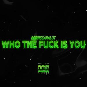Who the **** Is You (Explicit)