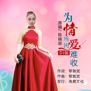 为情所困爱难收封面