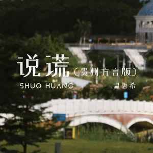 说谎 (贵州方言版)