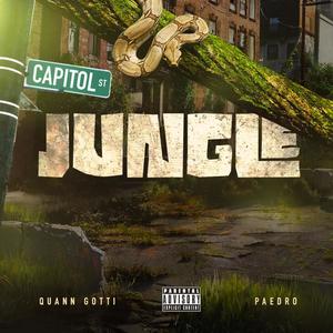 Jungle (Explicit)