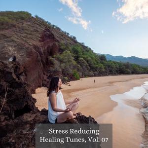 Stress Reducing Healing Tunes, Vol. 07