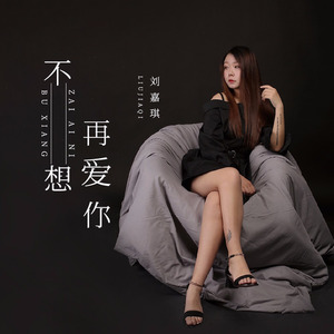 不想再爱你