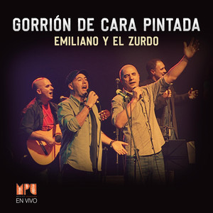 Gorrión de Cara Pintada (Mpu en Vivo)