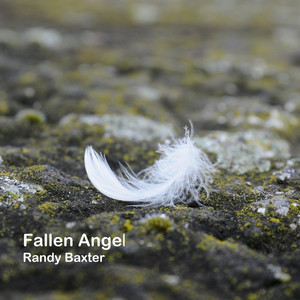 Fallen Angel