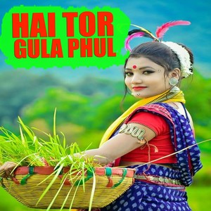 Hai Tor Gula Phul