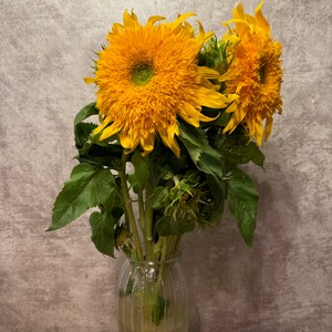 小手圈起的夏天 (伴奏)