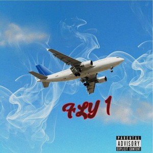 Fly 1 (Explicit)