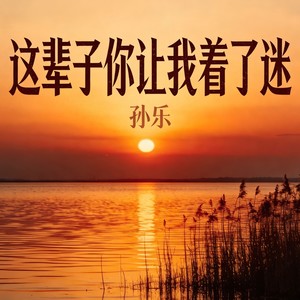 这辈子你让我着了迷 (伴奏)