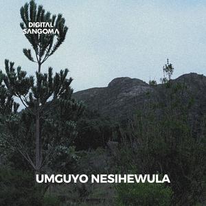 Umguyo Nesihewula (Extended DJ Edit)