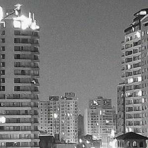 Hoodstars(feat. Thankupesso, Yung Russio & Wolf707) (Explicit)