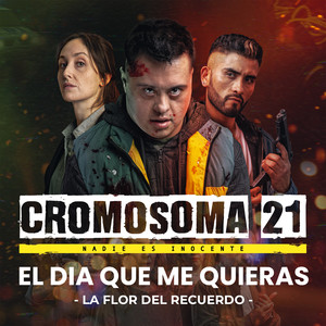 El día que me quieras (Banda Sonora Original de la serie Cromosoma 21)