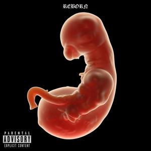 REBORN (Explicit)