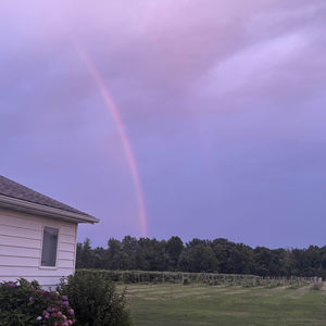 Redbeanmc - the worst she could say is no (Explicit)