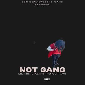 Not Gang (feat. Xerpy & CHOSEN BOSS NIGGAS) (Explicit)