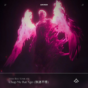 Chấp Mê Bất Ngộ (Instrumental)