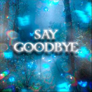 Say Goodbye