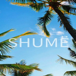 Shumë